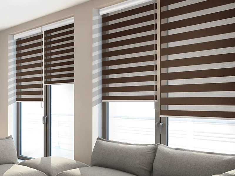 Zebra Blinds